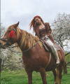 profile of Ukrainian mail order brides Alena