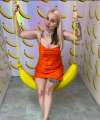 profile of Ukrainian mail order brides Ilona