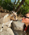 profile of Ukrainian mail order brides Katerina