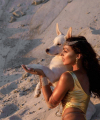 profile of Ukrainian mail order brides Marina