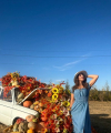 profile of Ukrainian mail order brides Alla