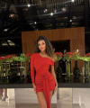 profile of Ukrainian mail order brides Elizabete