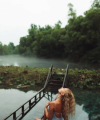 profile of Ukrainian mail order brides Lyudmila