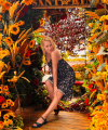 profile of Ukrainian mail order brides Anna