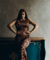 profile of Ukrainian mail order brides Evgeniya