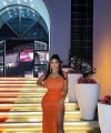 profile of Ukrainian mail order brides Elsa