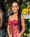 profile of Ukrainian mail order brides Hanna
