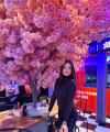 profile of Ukrainian mail order brides Mariya